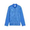 Puma teamGOAL Training Jacket Gpc Mavi Erkek Eşofman Üst