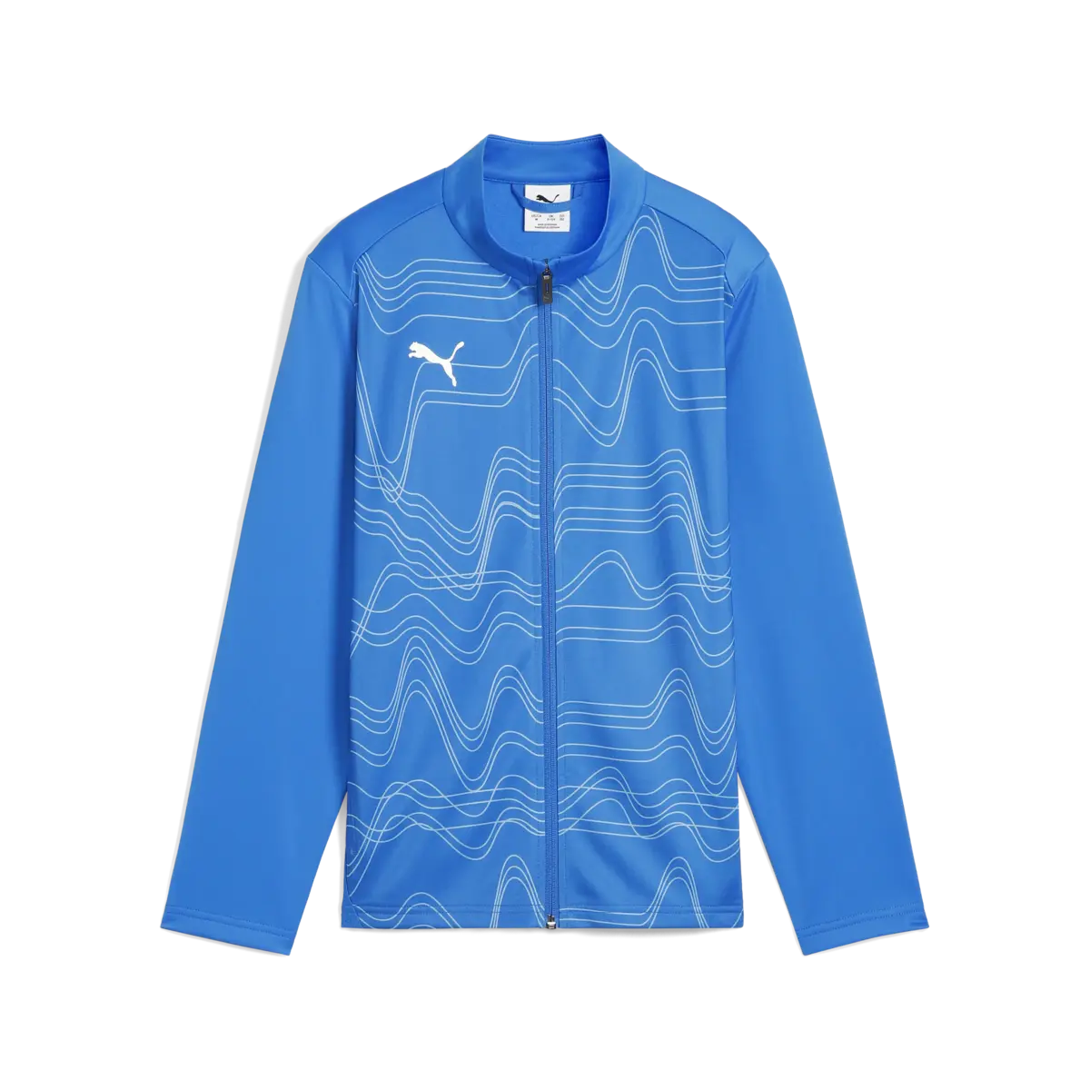 Puma teamGOAL Training Jacket Gpc Mavi Erkek Eşofman Üst