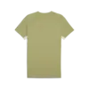Puma teamEVOSTRIPE Tee Erkek T-Shirt & Polo