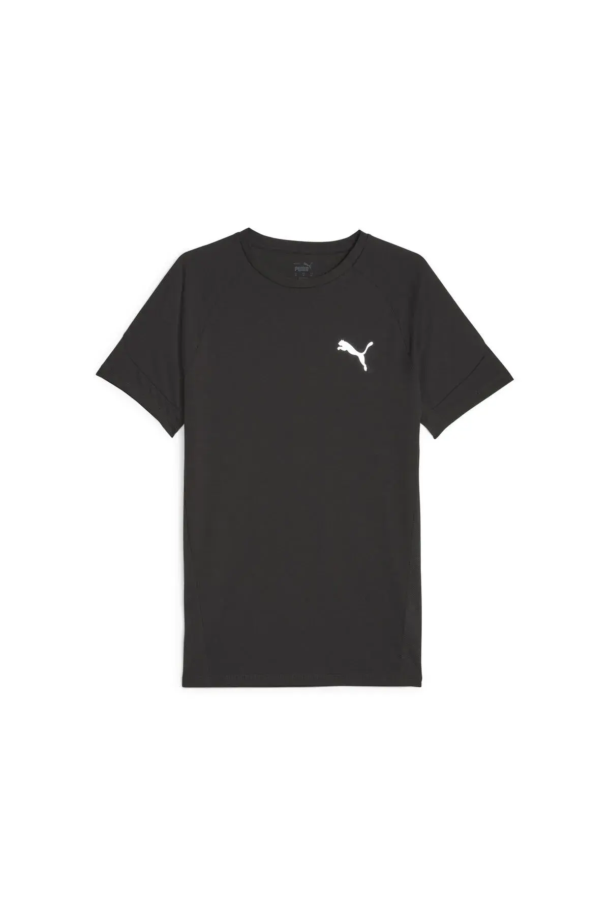 Puma EVOSTRIPE Tee Siyah Erkek T-Shirt