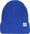 Calvin Klein MONOGRAM RIB BEANIE Erkek Mavi Bere