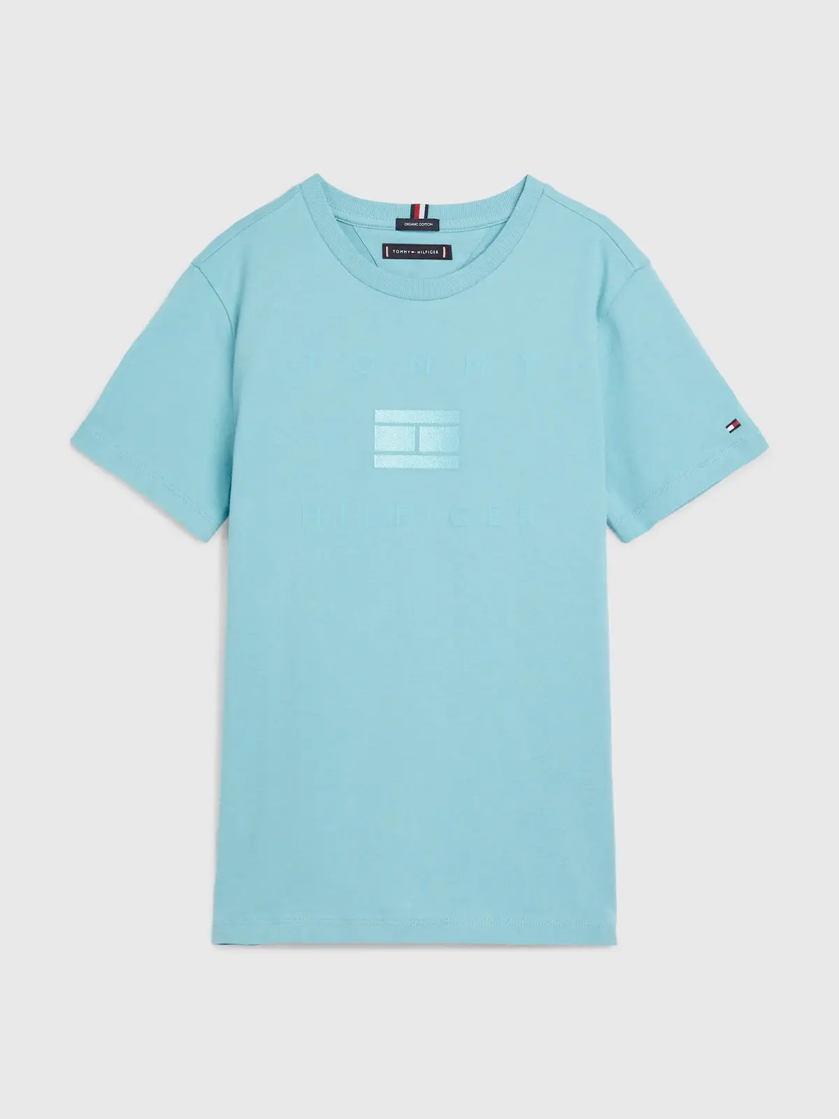 Tommy Hilfiger TH LOGO ARTWORK TEE Erkek Yeşil T-Shirt