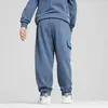 Puma X TROLLS Cargo Pants Mavi Unisex Eşofman Altı