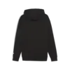 Puma RAD/CAL Half-Zip Siyah Erkek Hoodie