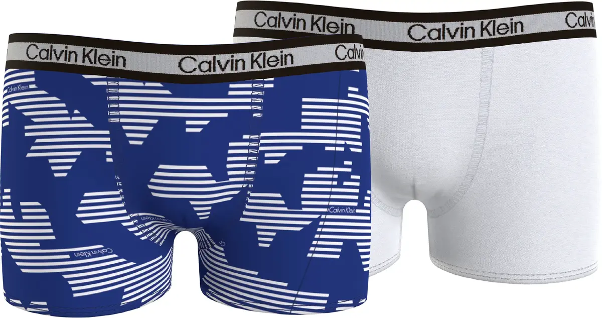 Calvin Klein 2PK TRUNK Erkek Mavi Boxer Set