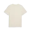 Puma CLASS Graphic Tee Bej Erkek T-Shirt & Polo