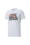 Puma Performance Slogan Cat Tee Beyaz Erkek Koşu Ve Performans T-Shirt