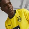 Puma BVB Home Jersey Sarı Erkek Takım Forması