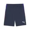 Puma IndividualLIGATrainingShorts Lacivert Erkek Şort