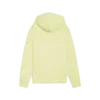 Puma ESS NATURE 2.0 Hoodie Sarı Kadın Kapüşonlu Sweatshirt
