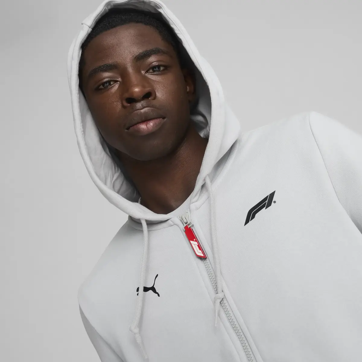 Puma F1 ESS Full-Zip Hoodie Gri Erkek Hoodie