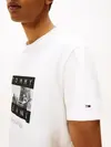 TJM REG PHOTO FLAG S, YBL