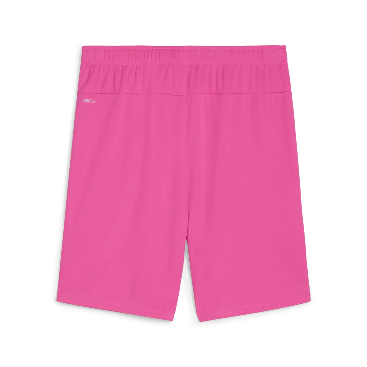 Puma teamGOAL Shorts Erkek Şort