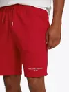 SMALL TOMMY LOGO SWE, XLD