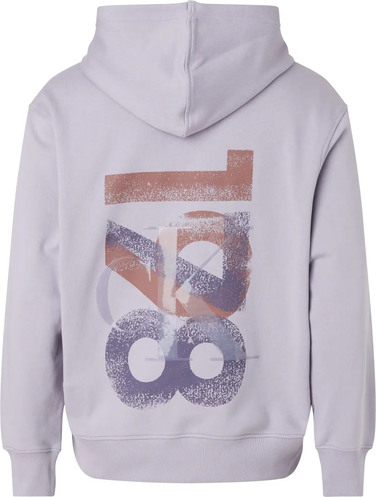 Calvin Klein VARSITY 1978 HOODY Erkek Lila Hoodie