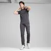Puma EVOSTRIPE Tee Koyu Gri Erkek T-Shirt