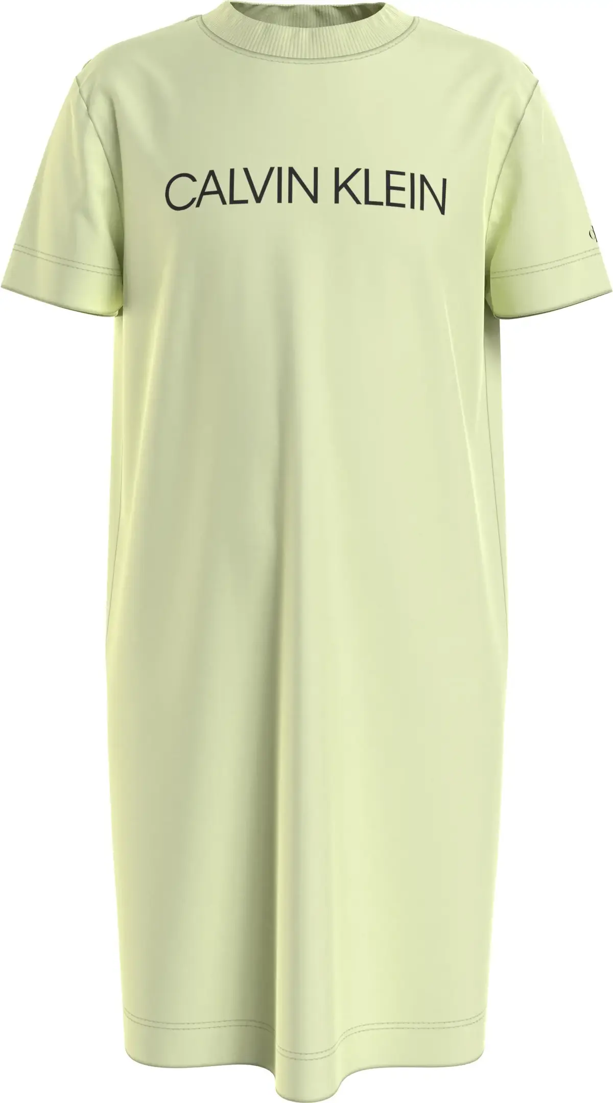 Calvin Klein INST LOGO T-SHIRT DR Kadın Yeşil Elbise