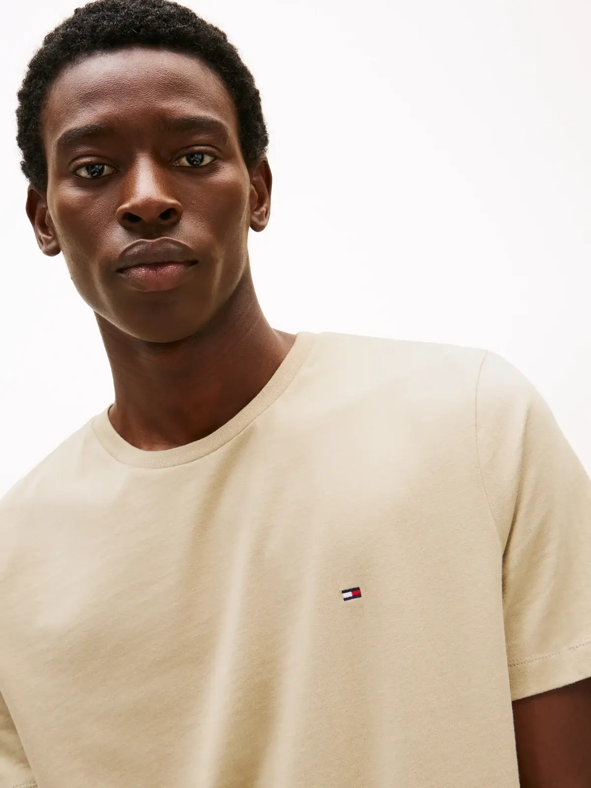 Tommy Hilfiger ESS SEASONAL REG FIT, RBT Bej Erkek T-Shirt & Polo