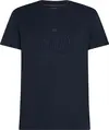 Tommy Hilfiger HILFIGER EMBROIDERY, DW5 Siyah Erkek T-Shirt & Polo