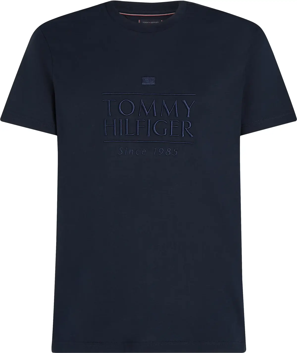 Tommy Hilfiger HILFIGER EMBROIDERY, DW5 Siyah Erkek T-Shirt & Polo