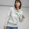 Puma NO.1 LOGO Hoodie Gri Unisex Hoodie