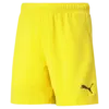 Puma teamRISE Short Jr Erkek Şort
