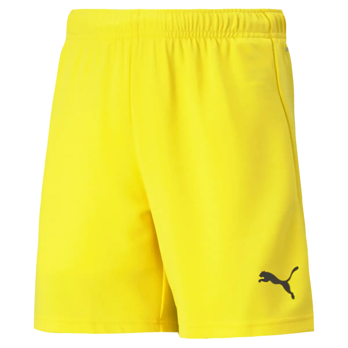 Puma teamRISE Short Jr Erkek Şort