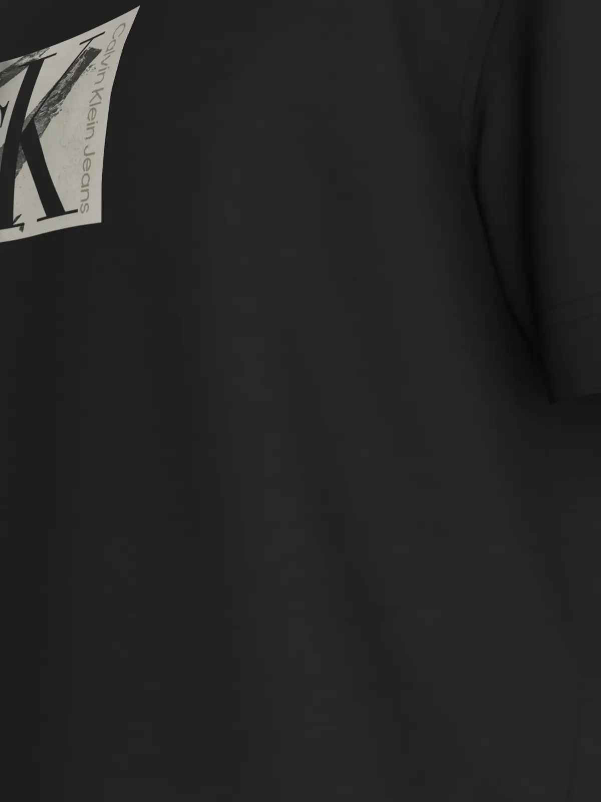 Calvin Klein SMALL CK BOX TEE, BEH Siyah Erkek T-Shirt & Polo