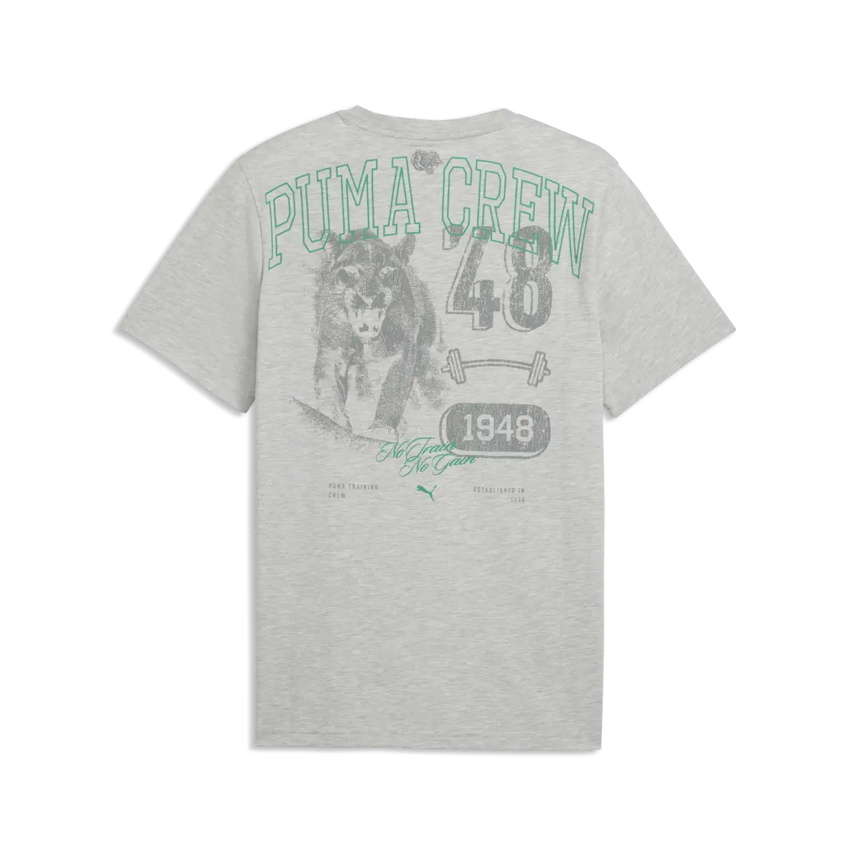 Puma M GRAPHIC TEE 1 Gri Erkek T-Shirt