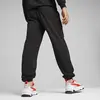 Puma F1 ESS Sweatpants Siyah Erkek Eşofman Altı