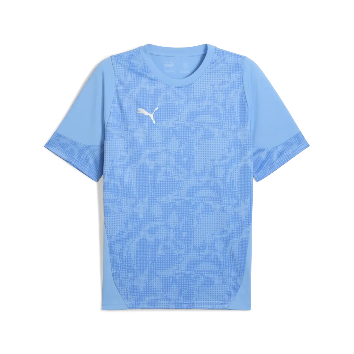 Puma teamCUP Training Jersey Mavi Erkek Forma