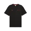 Puma F1 ESS+ Graphic Tee -relaxed Siyah Erkek T-Shirt & Polo