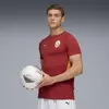 Puma GSK EVOSTRIPE Tee Kırmızı Erkek T-Shirt