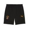 Puma GSK EVOSTRIPE Shorts GALATASARAY EVOSTRIPE Erkek Şort