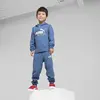 Puma ESS+ FC Sweatpants Unisex Eşofman Altı