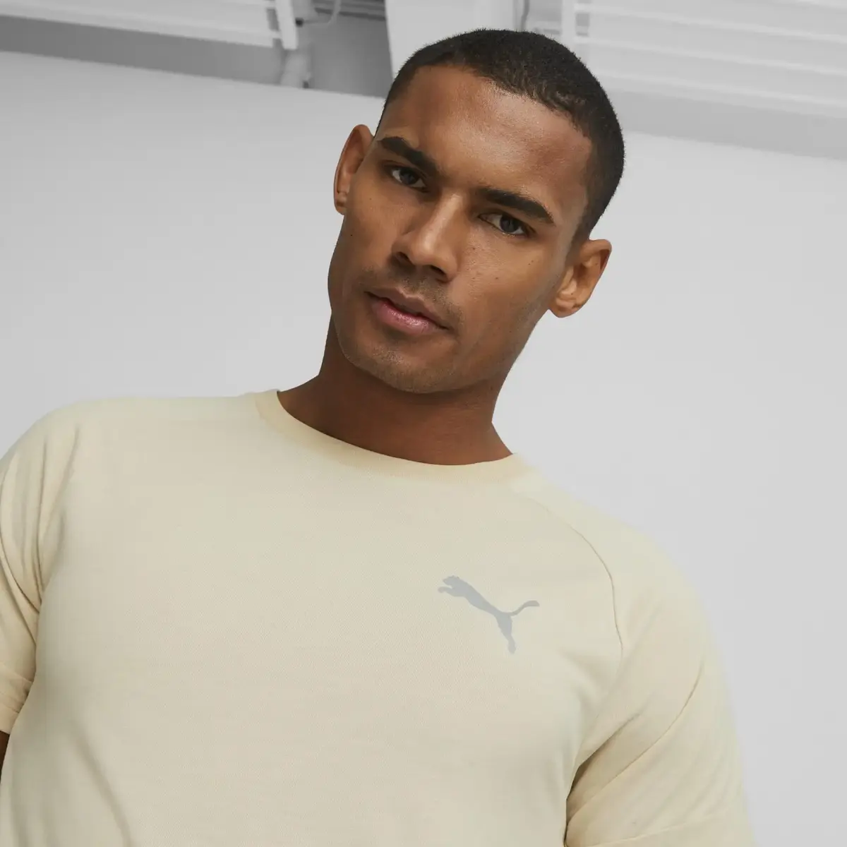 Puma EVOSTRIPE Tee Granola Erkek/Unisex T-Shirt