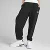 Puma Classics Sweatpants Tr Siyah Kadın Eşofman Altı