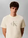 Calvin Klein SS Hero Monologo Tee, 486 Sarı Erkek T-Shirt