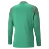 Puma teamCUP Training Jacket Erkek Şort
