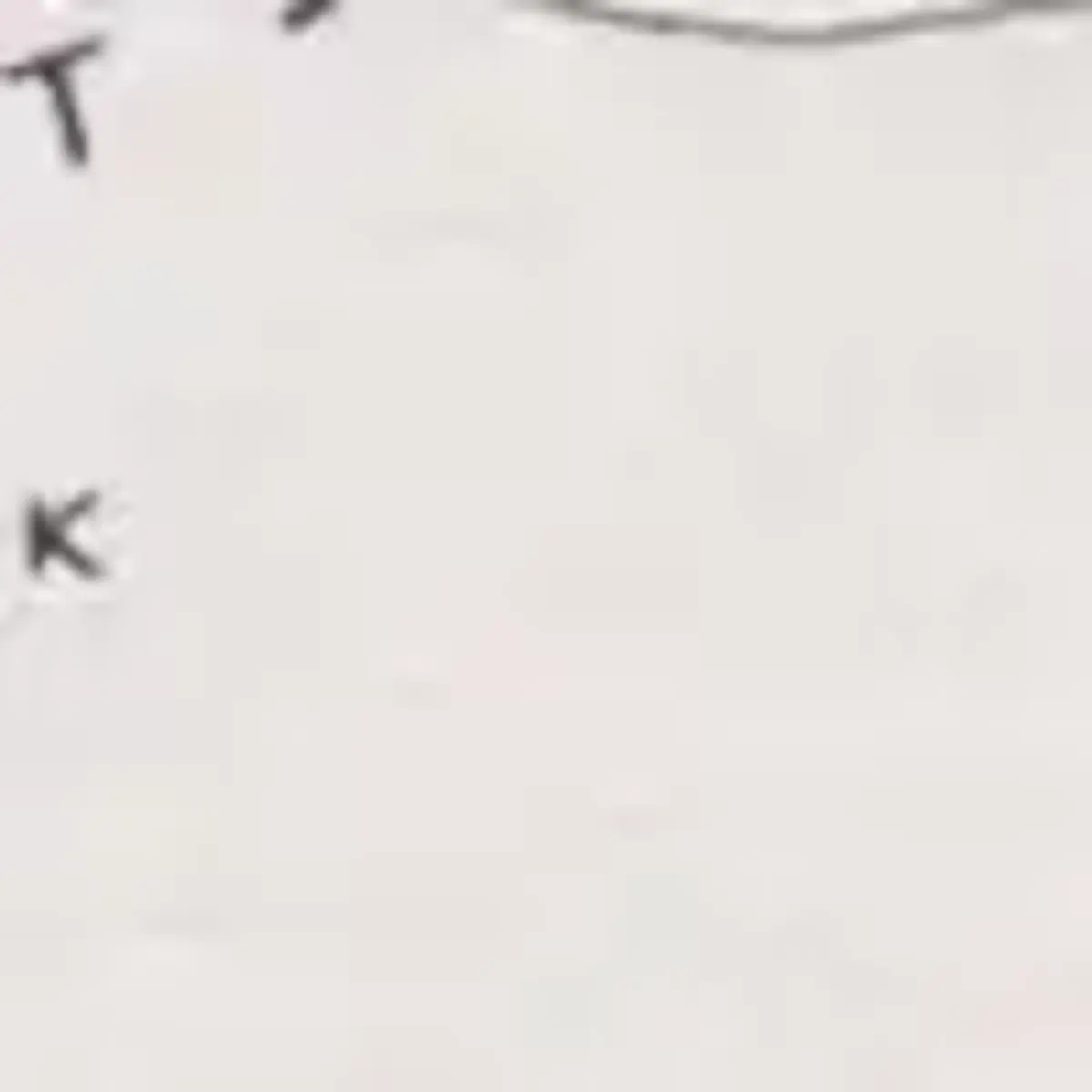 Tommy Hilfiger TROPICAL FLORAL HILF Erkek Beyaz T-Shirt