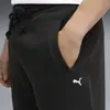 Puma SELECT Essentials Shorts Siyah Erkek Şort