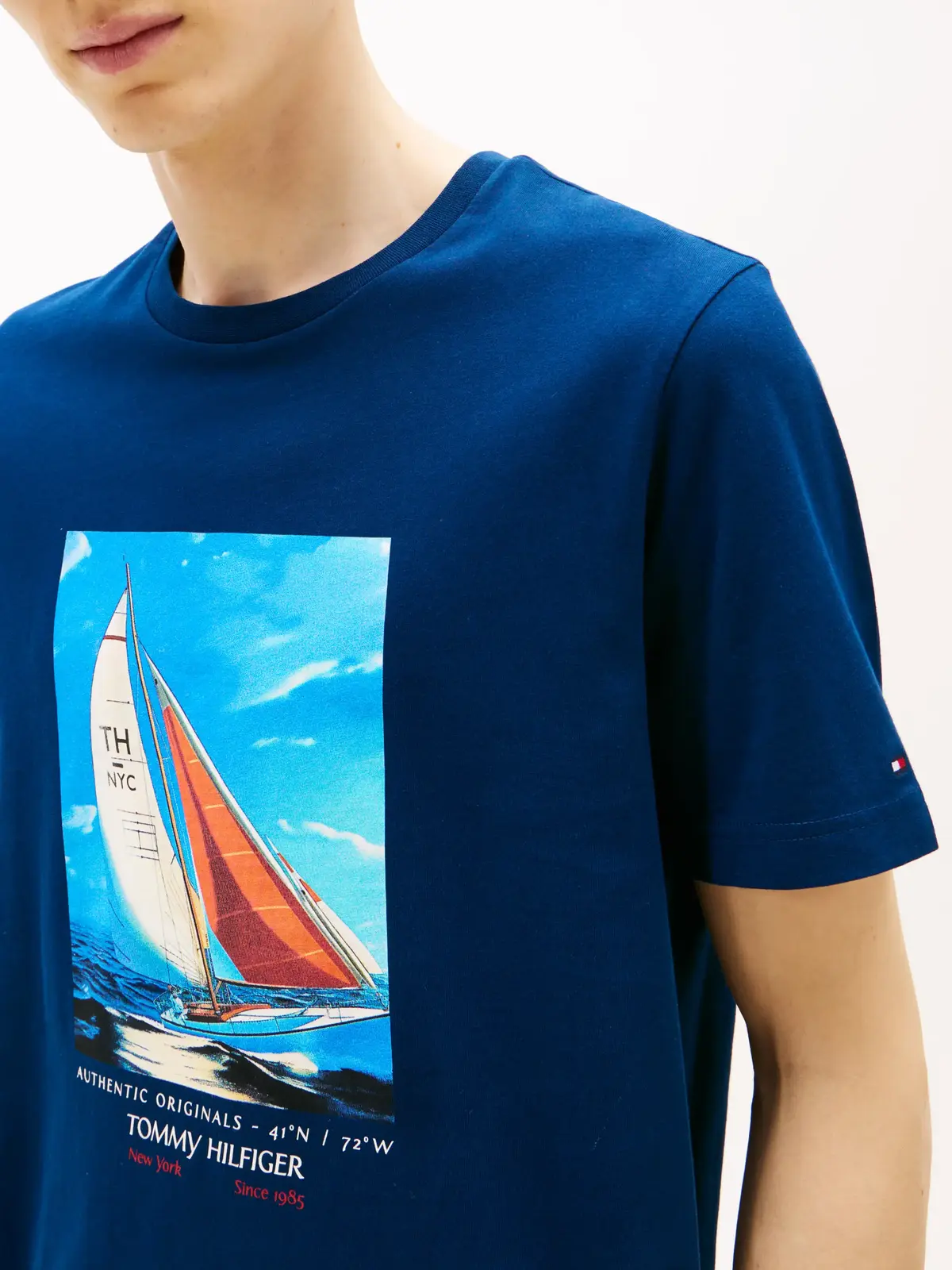Tommy Hilfiger HILFIGER COLOR PHOTO, DAF Lacivert Erkek T-Shirt & Polo