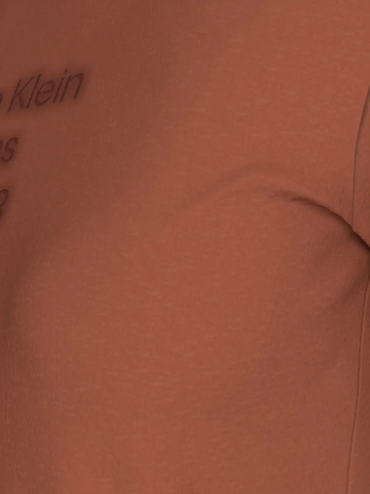 Calvin Klein WASHED PUFF PRINT BA, GAM Kahverengi Kadın T-Shirt & Polo