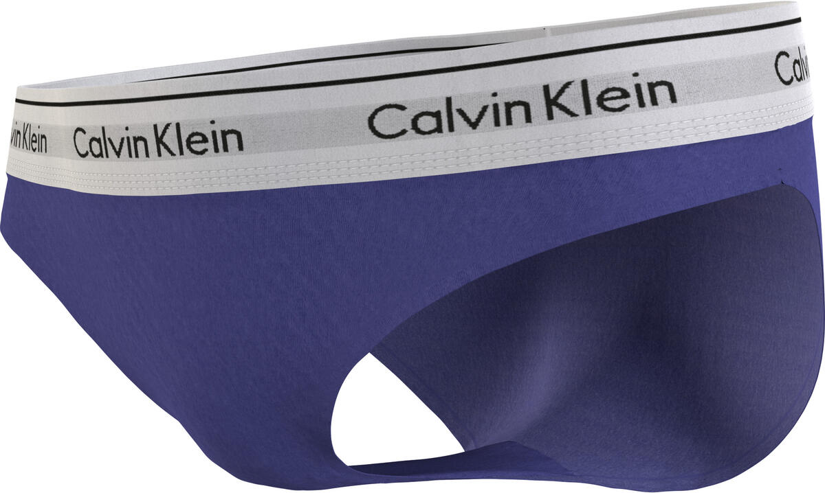 Calvin Klein BIKINI Kadın Mavi Bikini Külot