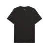 PUMA M GRAPHIC TEE 2 Siyah Erkek T-Shirt