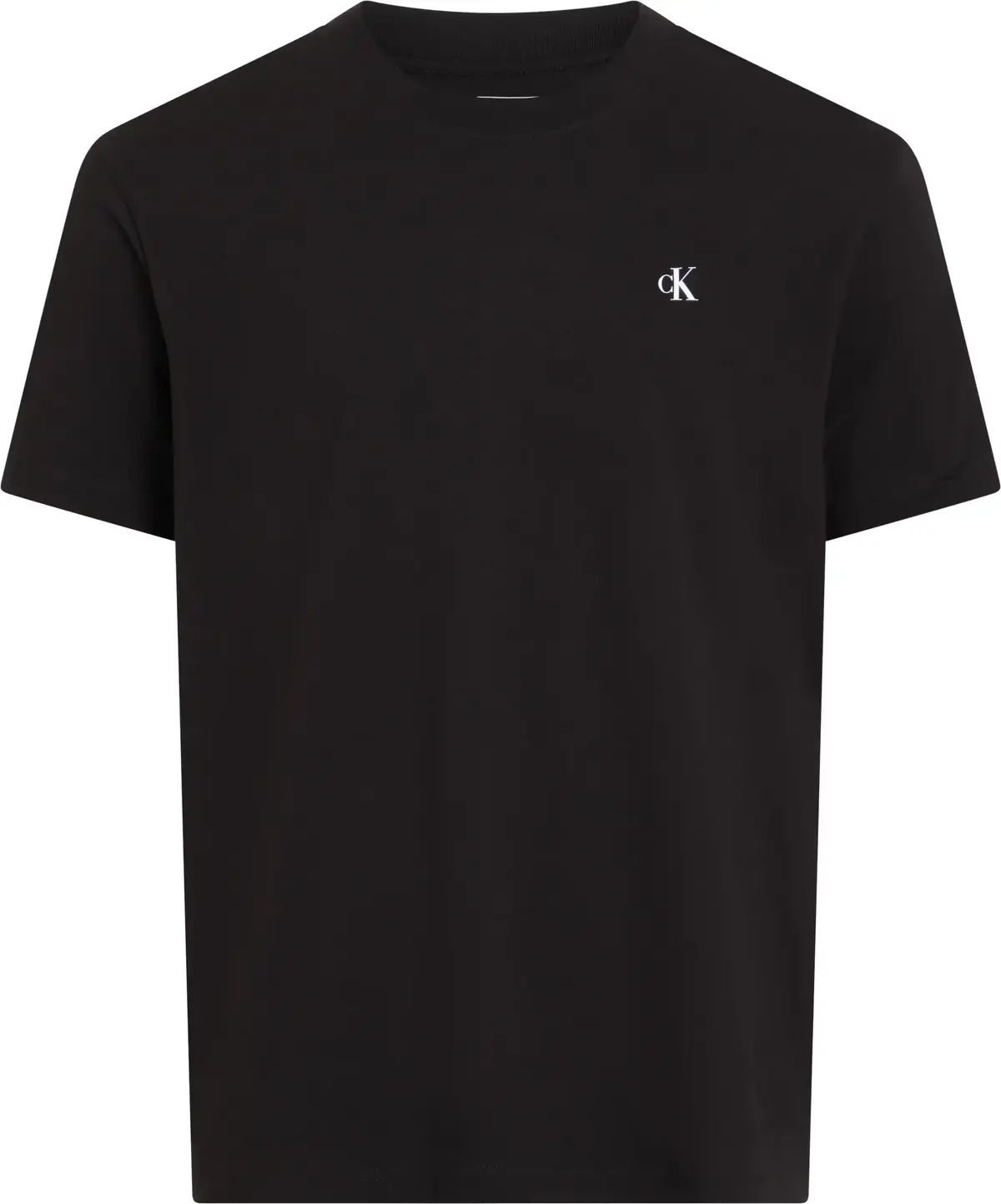 Calvin Klein PAINTED CALVIN KLEIN, BEH Siyah Erkek T-Shirt & Polo