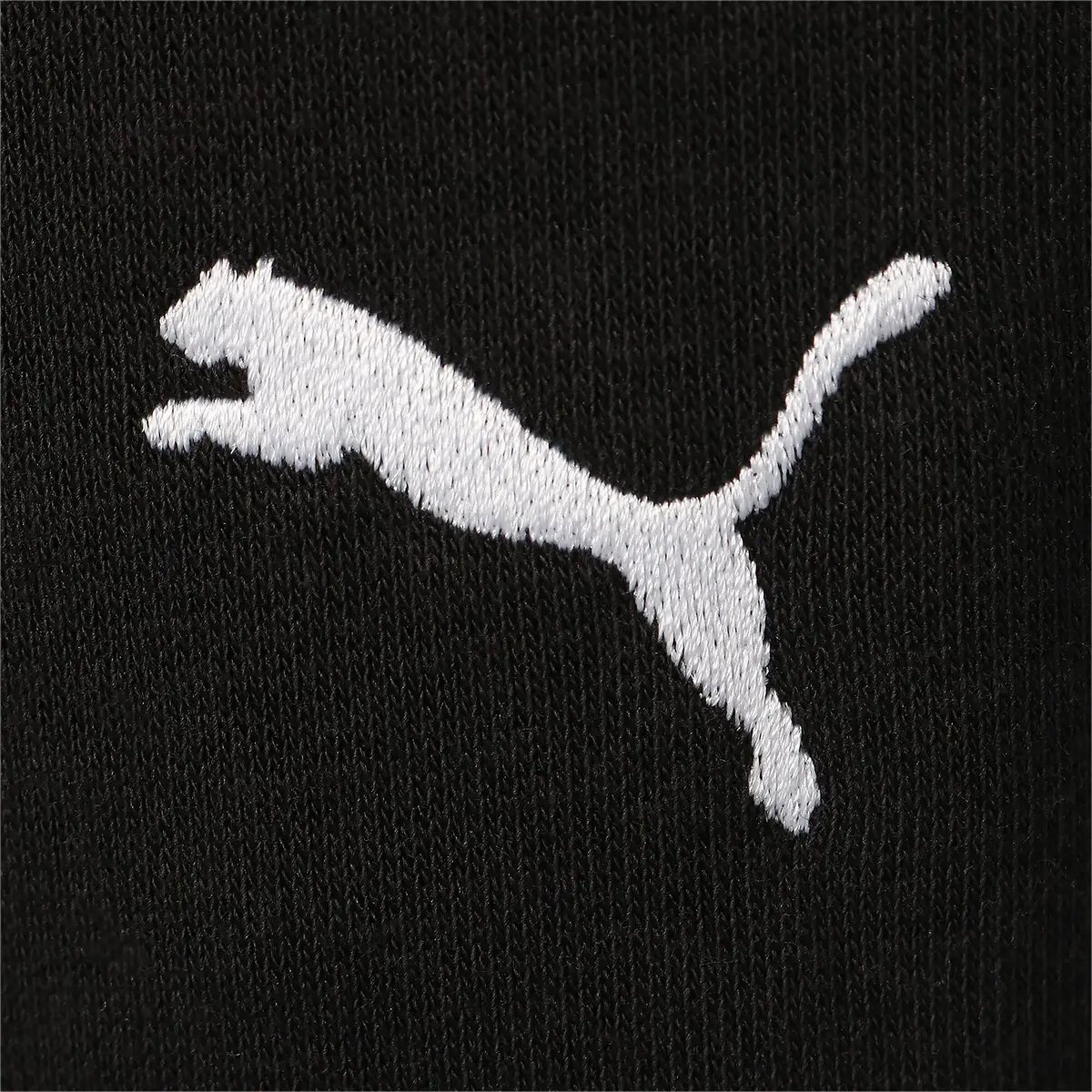 Puma BMW M MotorSport Statement Siyah Erkek Eşofman Altı