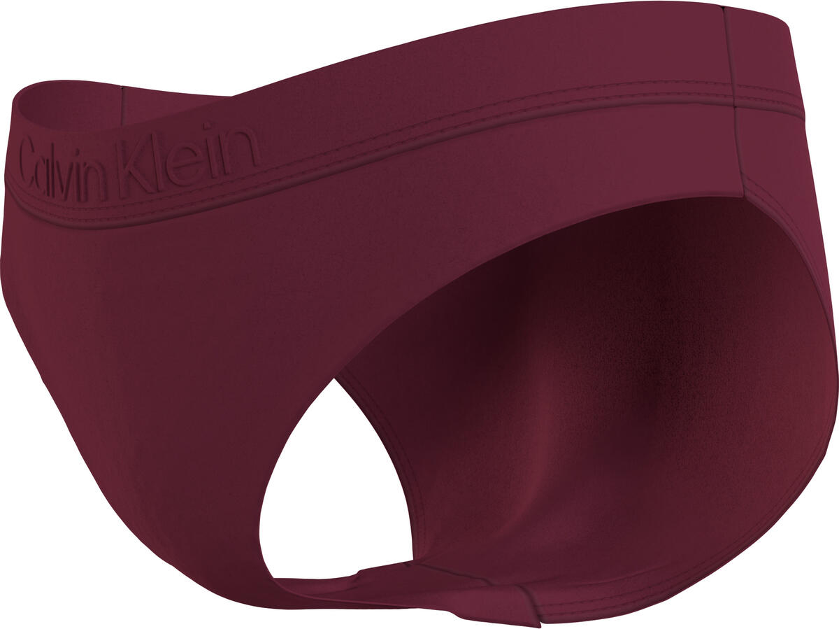 Calvin Klein BIKINI Kadın Bordo Bikini Altı