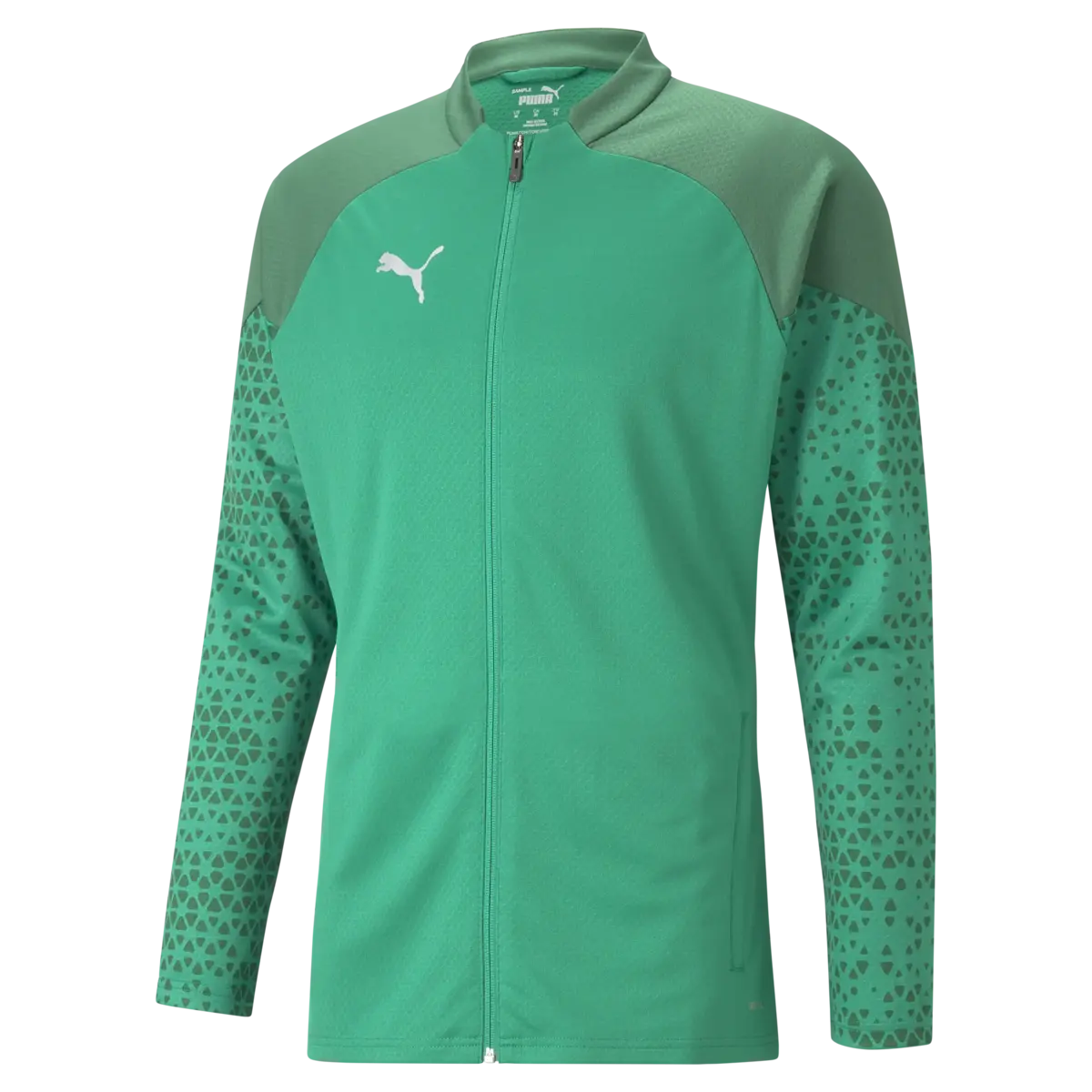 Puma teamCUP Training Jacket Erkek Şort