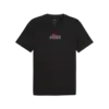 Puma GRAPHIC Tee Siyah Erkek T-Shirt